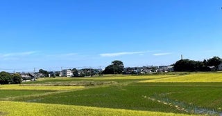 北斗晶、咳と鼻に痛みがあることを明かす「オーバーワークで疲れが溜まってパンク」