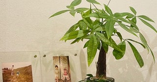 だいたひかる、40％まで上がった再発転移のリスク「怖い事だけれど、後悔したくなかった」