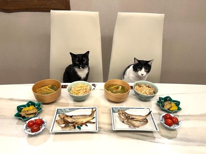 【写真・画像】 藤あや子「感謝しながらいただきました」故郷・秋田の品で作った料理「元気を与えてくれます」 　1枚目