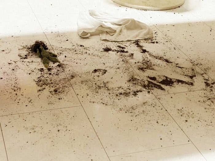 【写真・画像】 北斗晶、帰宅して唖然とした部屋の惨状を報告「床一面泥だらけ」 　1枚目