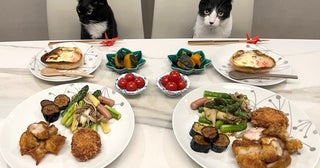 藤あや子、旬の食材を使った自画自賛の手料理を公開「豪華ですね」「完璧」の声