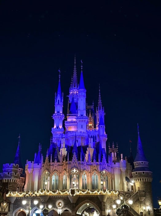 【写真・画像】 小倉優子、大人が1人でも大丈夫だった息子らとのTDL「みんな成長したなぁ」 　1枚目