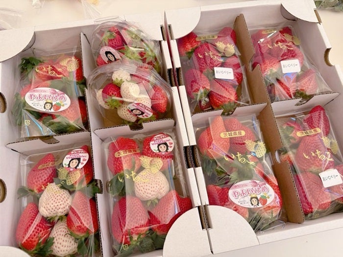 【写真・画像】 辻希美、知人が沢山送ってくれて毎日食べている贅沢な品「そっちゃんが喜んでました」 　1枚目