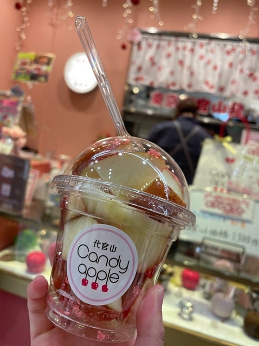 【写真・画像】 細川直美「本当に美味しい」サービスエリアに立ち寄り購入した品「色々なテイストが楽しめます」 　1枚目