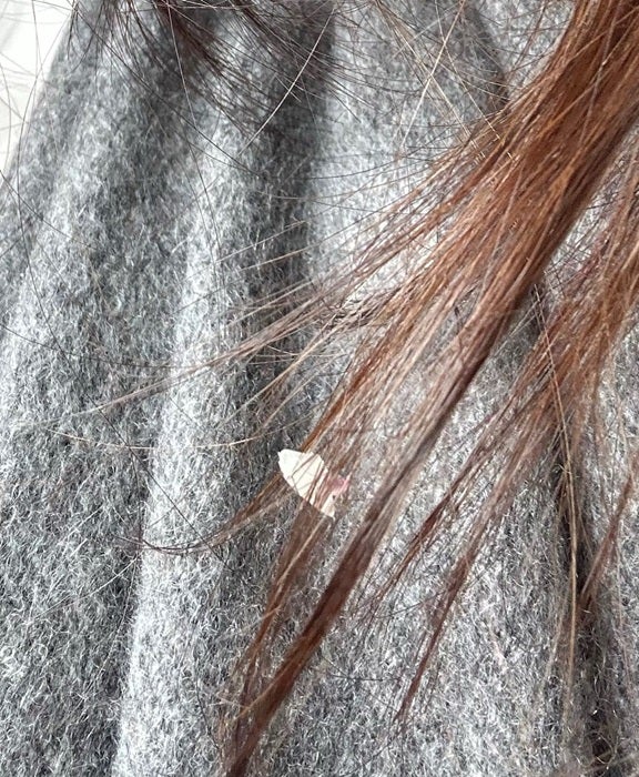 【写真・画像】 森口博子、外出先で気が付いてやってしまったと思ったこと「可愛い」「あるあるですね」の声 　1枚目