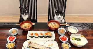 藤あや子、自画自賛した最高の料理を公開「豪華」「食べたい」の声