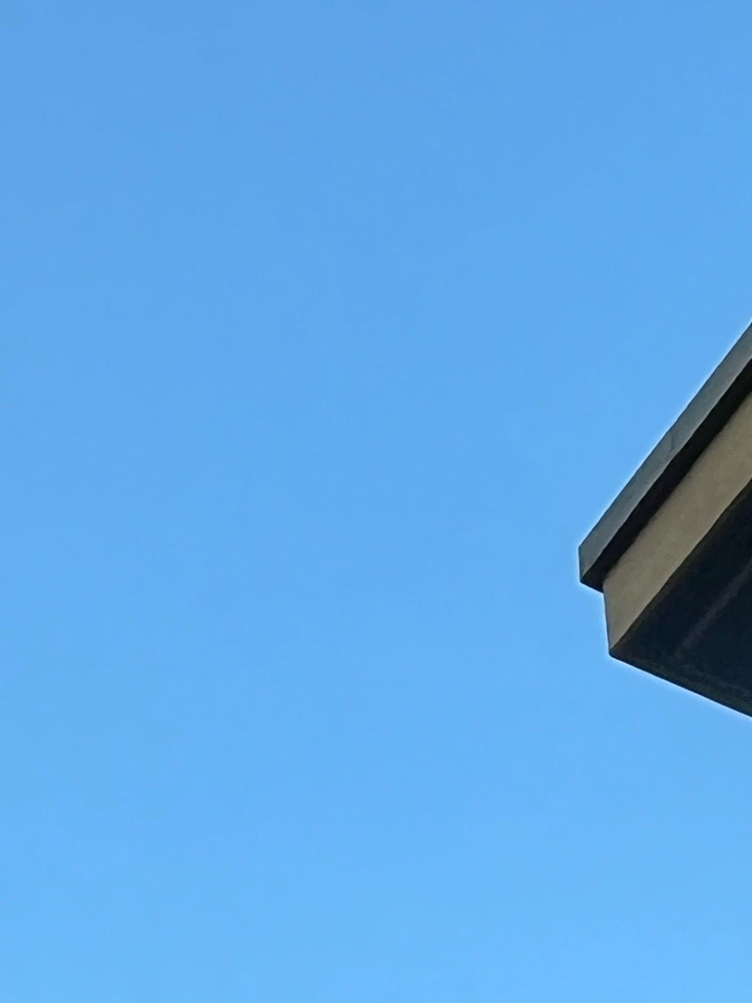  堀ちえみ、大学病院から逆紹介を受けたクリニックで検査「急を要する場合にはこのようなケースも」 