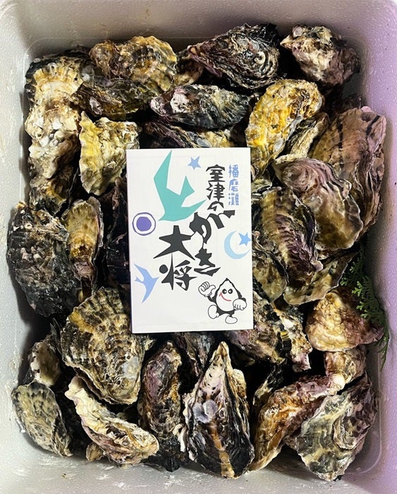 【写真・画像】 ハイヒール・モモコの夫、友人から10kg送られてきたもの「いくらでも食べれます」 　1枚目
