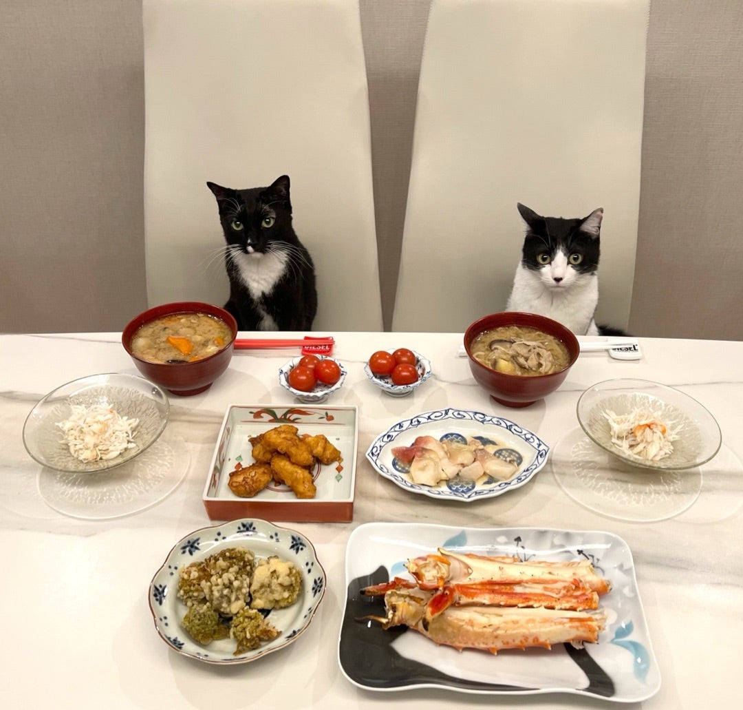 【写真・画像】 藤あや子、“激ウマ”だった夕食を公開「どれも美味しそう」「超豪華」の声 　1枚目