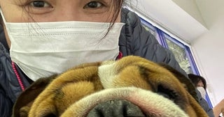 北斗晶、愛犬が大喧嘩の末に怪我をしたため受診「お口の周り真っ赤っか」