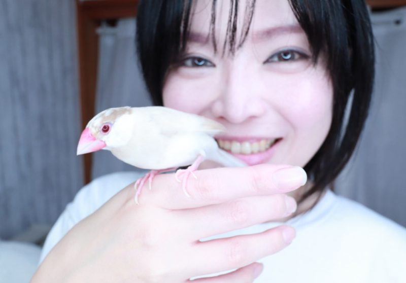 【画像】インコを手にのせるミミポポさん