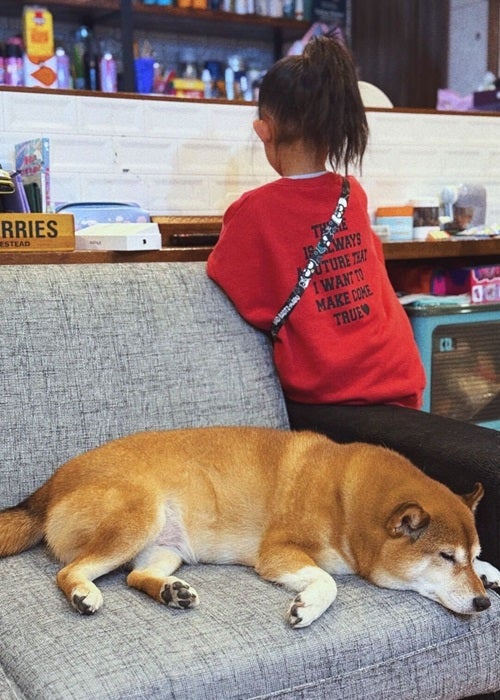 【写真・画像】 パンサー尾形の妻、新居を建てるために相談していること「我が家の課題をもとに」 　1枚目