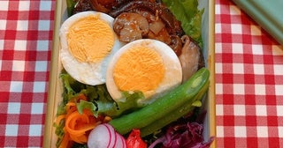 飯田圭織、息子が育てている野菜を入れた弁当「今朝採れたてです」