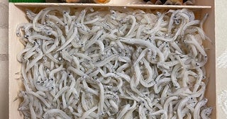 假屋崎省吾、名物の品がたっぷり入った贅沢な弁当を堪能「美味しそう」「良かったですね」の声