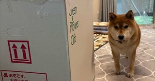 上島竜兵さんの妻、自宅に届いた大きな箱の中身を明かす「竜ちゃんの命日にと」