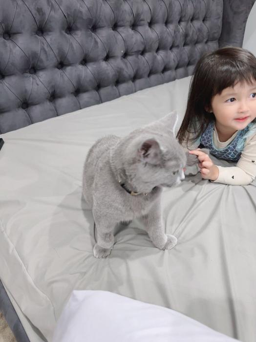 【写真・画像】 川崎希、可愛い愛猫と娘の姿を公開「いつも子どもたちの近くにくるんだ」 　1枚目