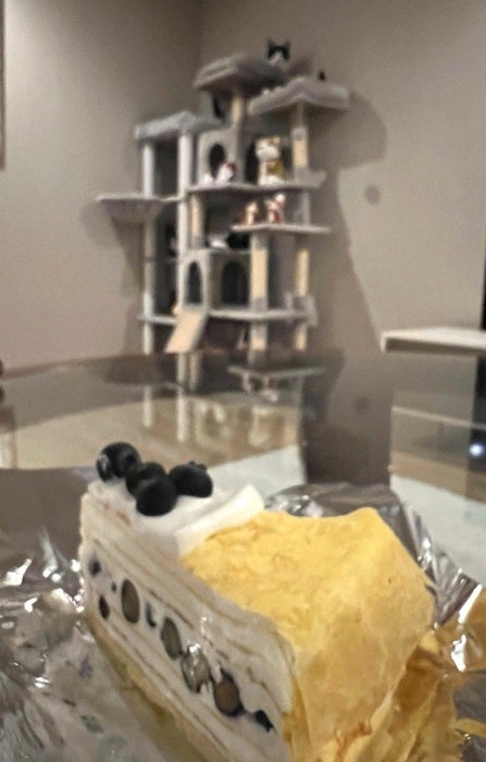 【写真・画像】 藤あや子「かなり混んでて並びました」すごい行列の店で購入したスイーツを公開「さすがゴールデンウィーク」 1枚目
