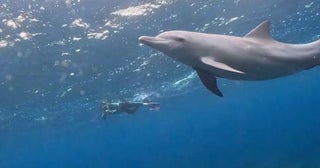 松居直美、旅行中に悲しかった出来事を明かす「デジカメの使い方を把握していなかった」