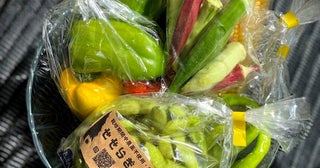 加護亜依、お中元で届いた無農薬野菜に感動「甘くて味が濃くて」