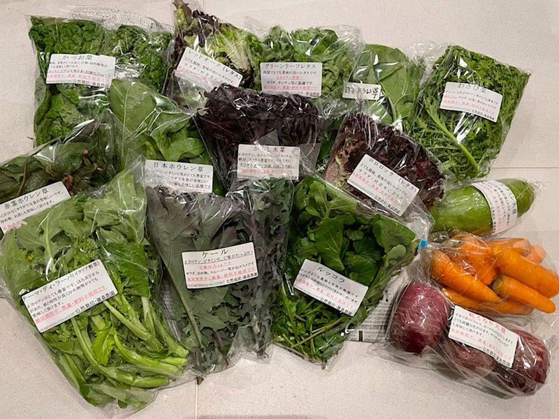 たくさん並べられた有機野菜の写真