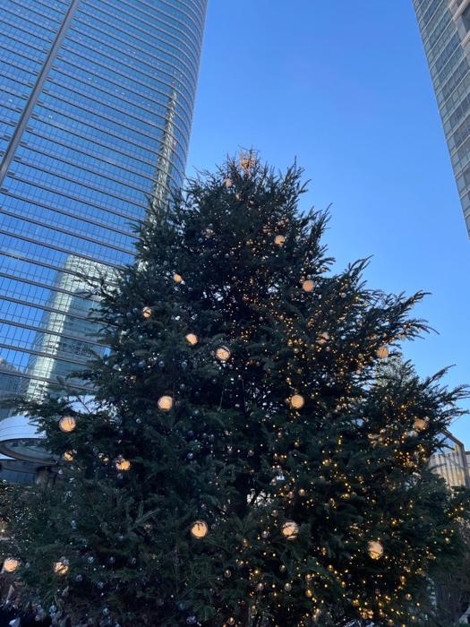 【写真・画像】 大混雑していて入場制限で入れなかった場所「クリスマスシーズンの週末なめてました」 　1枚目