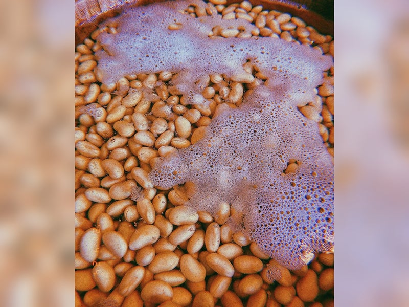【写真】大豆を水に浸けている。