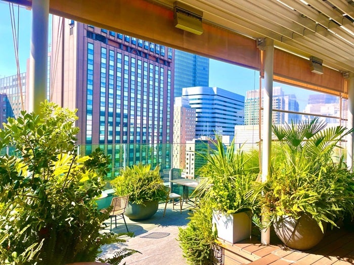 【写真・画像】 笠井アナ、高級レストランで起きたハプニングを報告「激しい痛みが」 　1枚目