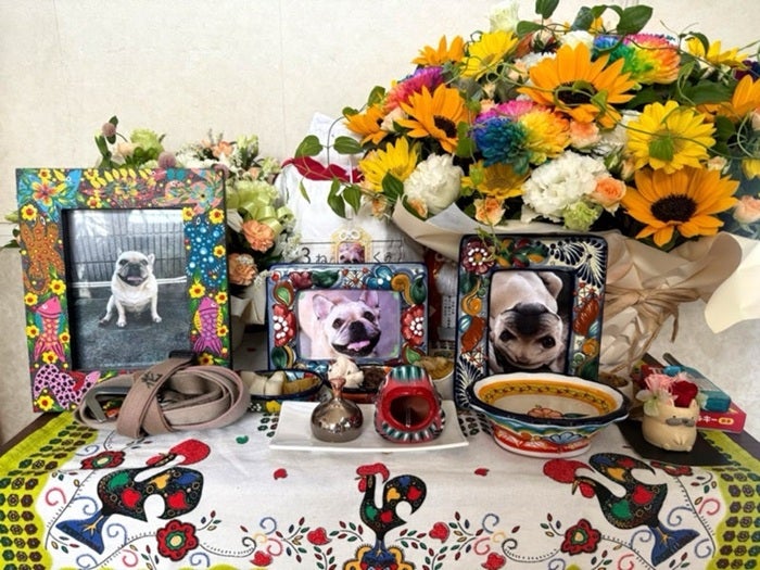 【写真・画像】 北斗晶「まだ、爪の音が聞こえたり…」亡き愛犬の一周忌に想いを馳せる「花ちゃんが大好きだよ」 　1枚目