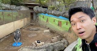渡辺裕太、車の燃料を入れ間違えてかかった金額を明かす「料金が数万円に」