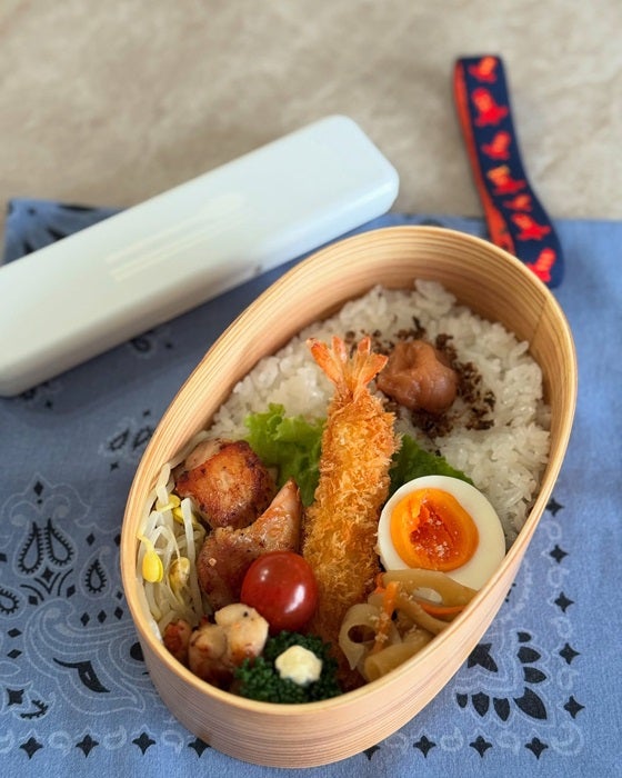 【写真・画像】 花田虎上の妻、作り置き料理を使った弁当を公開「最初の頃と比べたらクオリティが下がってる！と」 　1枚目