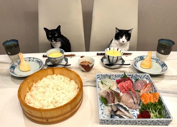 【写真・画像】 藤あや子「天才的に美味しい」大満足だったメニューを紹介「サキホコレを7合炊いて」 　1枚目