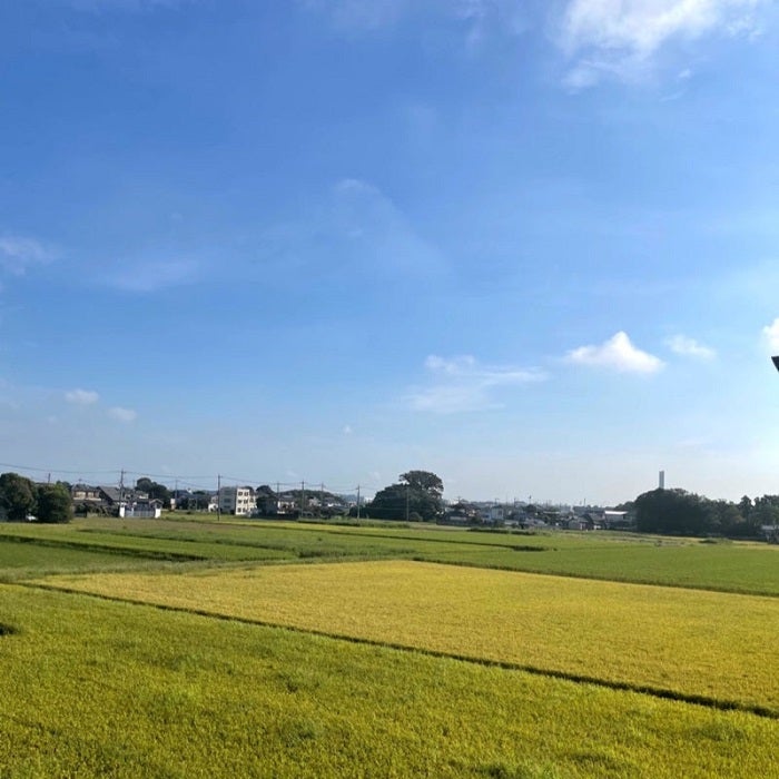  北斗晶、カナダから帰国し8日が経ち体が求めるもの「沢山歩いて泳いで寝不足での生活」 