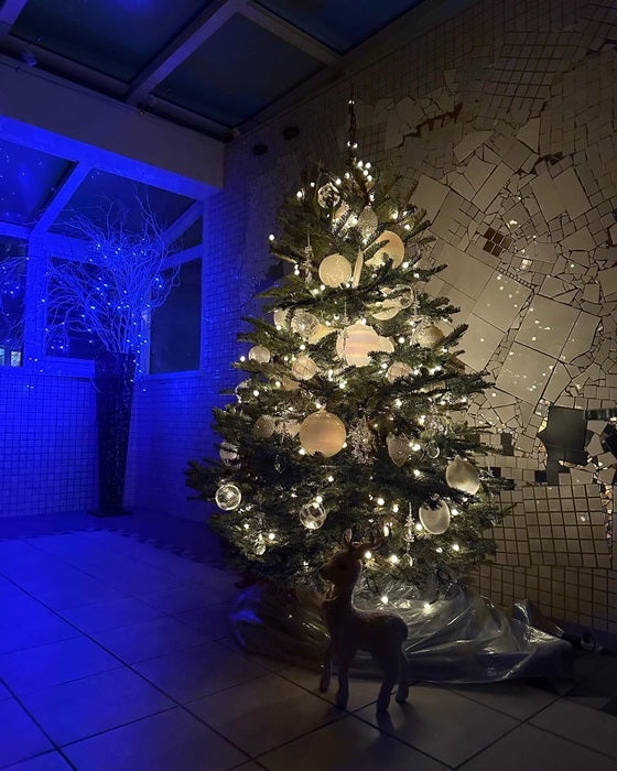 【写真・画像】 神田うの、テラスに新しく設置し娘が大喜びしたクリスマスツリー「破損させてしまったとかで」 　1枚目