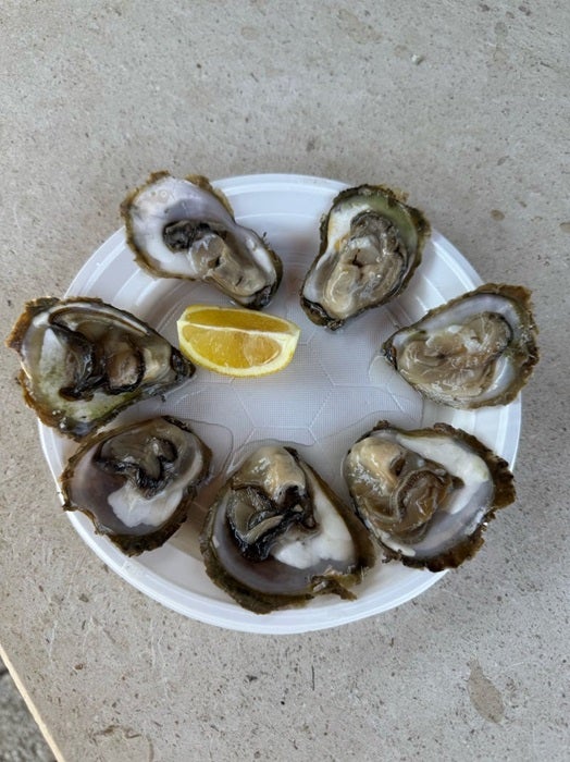 【写真・画像】 高橋真麻、大好物だった生牡蠣が食べられなくなった理由を告白「8年前に3回あたり」 　1枚目