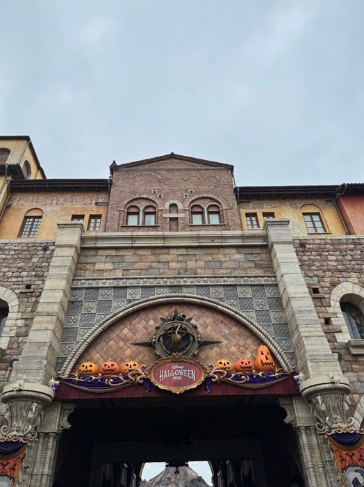 【写真・画像】 「待機列から」3連休中に訪れたTDSで歓声があがった理由「アナウンス流れたら」 　1枚目