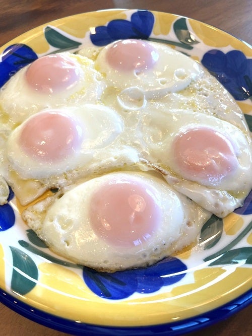 東MAX、たらふく食べた妻・安めぐみが作った朝食「美味しそう」「さすがです」の声 