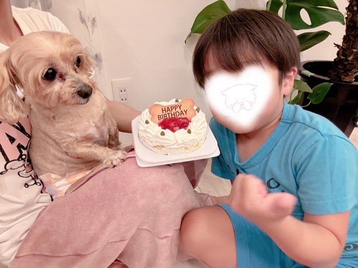 【写真・画像】 辻希美、愛犬の誕生日に長男が買ってきたもの「持病があったりして大変な事も多々ありますが」 　1枚目