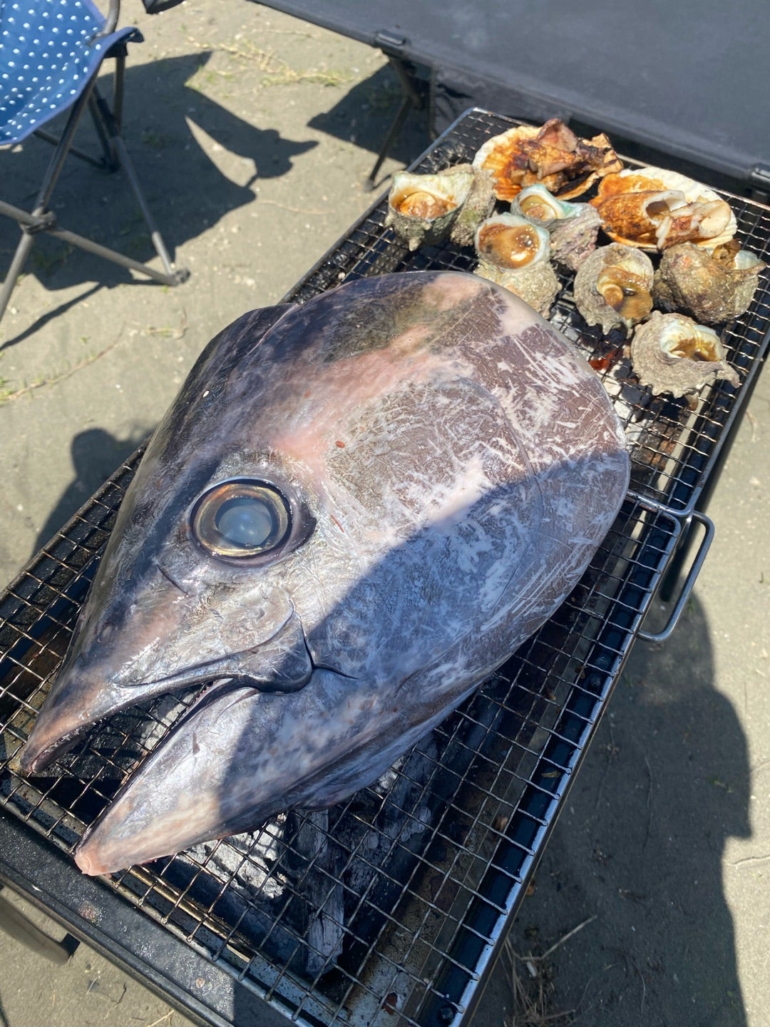 【写真・画像】 原田龍二の妻、BBQで堪能したとても美味しくて凄い食材「魚介類はいつも茅ヶ崎の魚卓さんです」 　1枚目