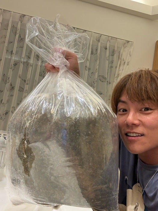 【写真・画像】 杉浦太陽「凄まじい量」沖縄の友人から20kg送られてきたもの「味見したら、激うま」 　1枚目