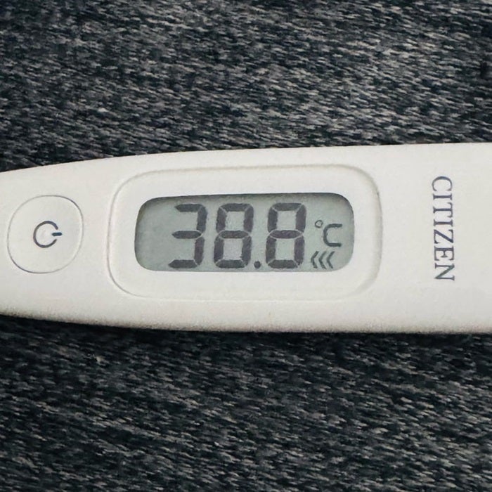 【写真・画像】 だいたひかる、蜂窩織炎の症状が出て病院を受診「電話して繋がるまでに、1時間以上かかりました」 　1枚目