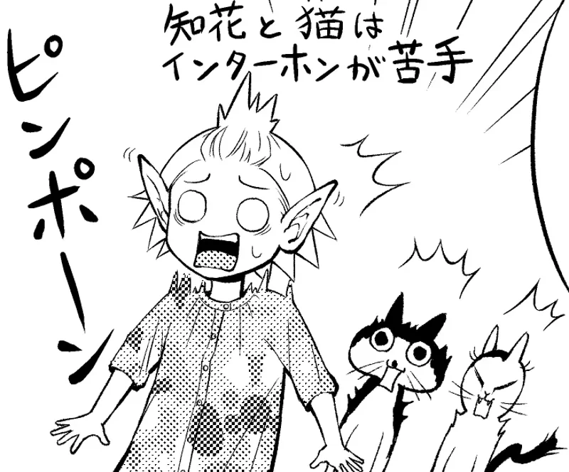 【画像】ナナトエリさん