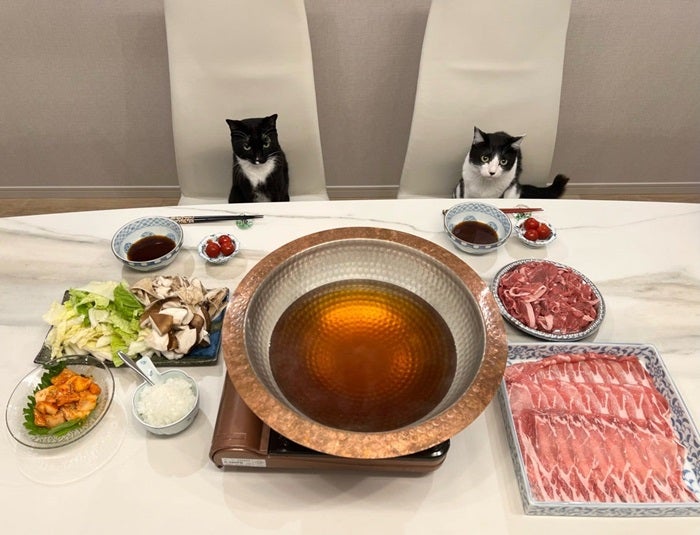 【写真・画像】 藤あや子、自宅で食べた子どもの頃からの大好物を紹介「大絶賛のおうちごはん」 　1枚目