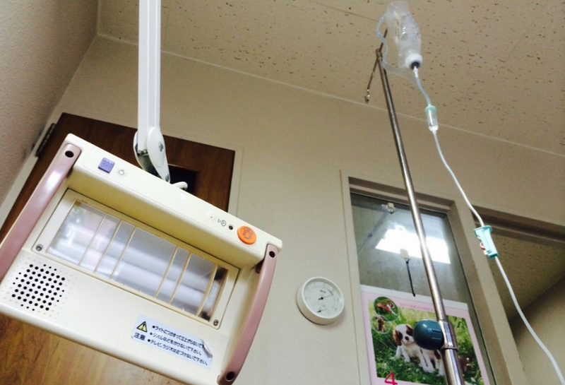 【画像】友寄蓮、献血中の写真