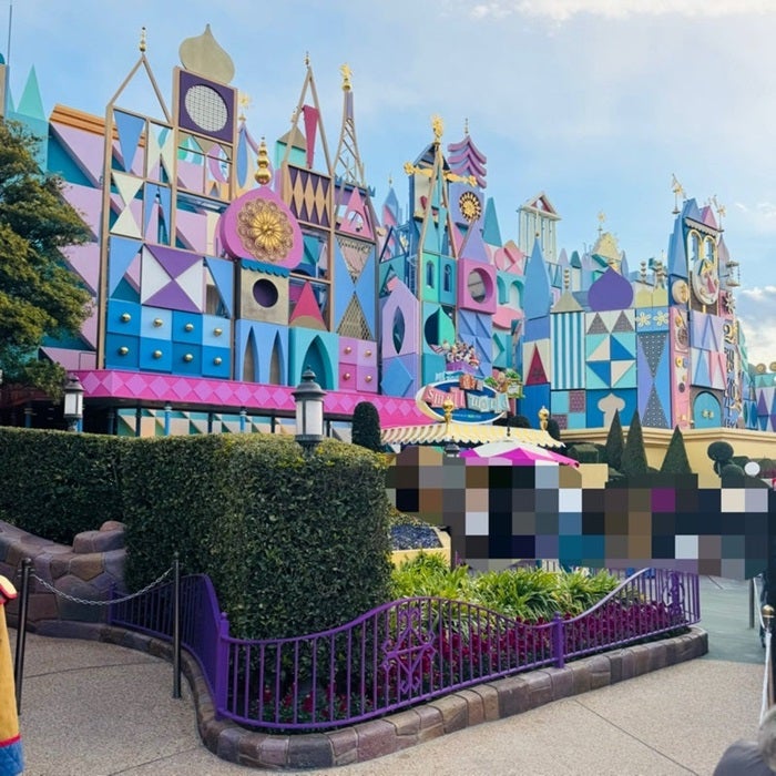 【写真・画像】 だいたひかる、混雑していた3連休中のTDL「いつも食べるワッフルは、90分待ちで…」 　1枚目