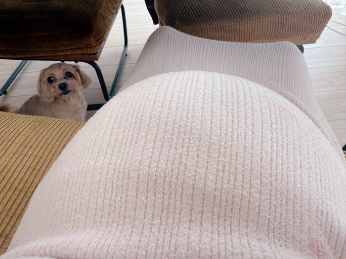 【写真・画像】 辻希美、第5子妊娠中のお腹の様子を公開「朝から元気に活動中」 　1枚目