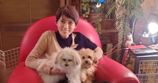 秋野暢子、アレルギー検査の結果に驚愕「気が付かないで食べていたら」