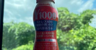 真飛聖『ヤクルト1000』を飲んだ後に気がついたこと「やっちまったぜー」