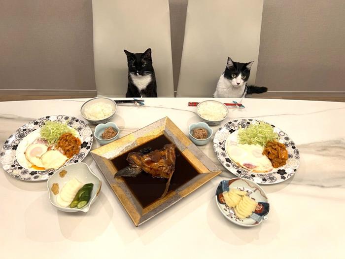 【写真・画像】 藤あや子、美味しすぎて即完食した品「豪華ですね」「高級料亭並み」の声 　1枚目