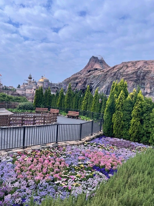 【写真・画像】 TDSで『ディズニー・プレミアアクセス』を購入するため朝5時に到着した結果「自分史上最速」 　1枚目