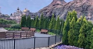 TDSで『ディズニー・プレミアアクセス』を購入するため朝5時に到着した結果「自分史上最速」